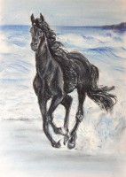 /album/zvieratka-suchy-pastel/obraz-670-jpg/